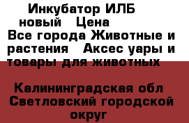 Инкубатор ИЛБ-0,5 новый › Цена ­ 35 000 - Все города Животные и растения » Аксесcуары и товары для животных   . Калининградская обл.,Светловский городской округ 